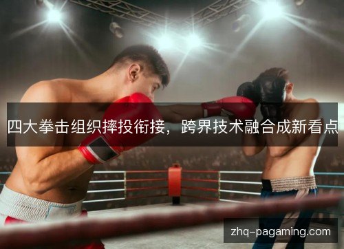 四大拳击组织摔投衔接，跨界技术融合成新看点